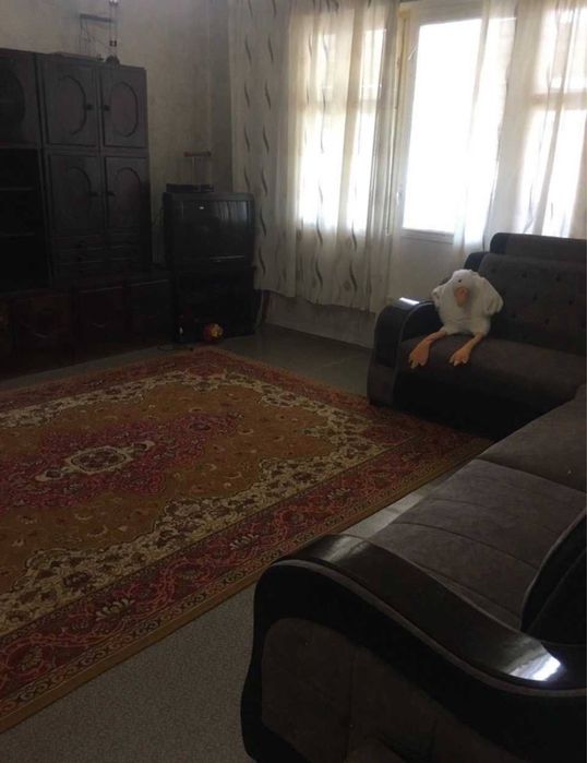 Саид Барака 2/5/9 мебель+техника Срочно 60квм