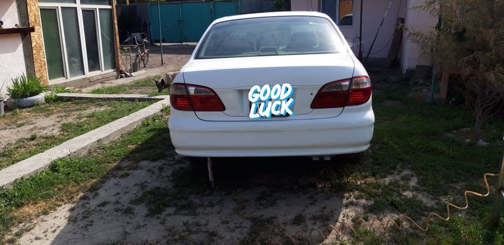 Кузовные и малярные работы