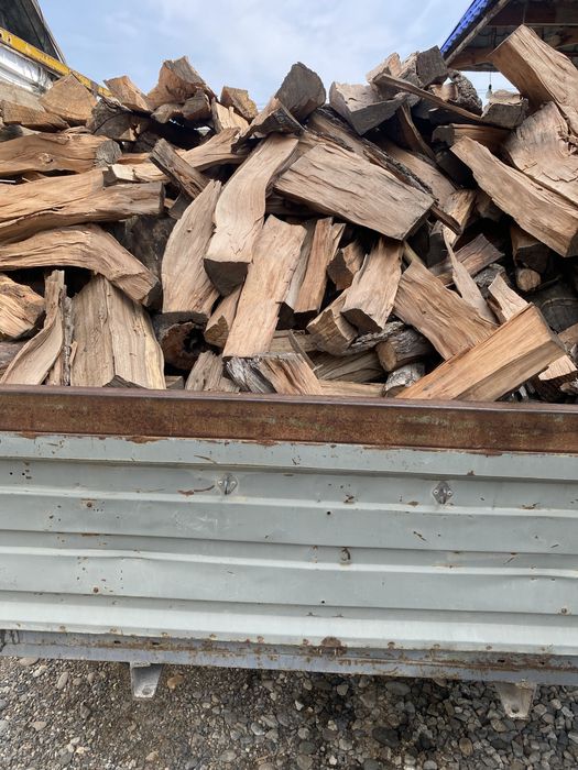 Дрова фруктовые+карагач