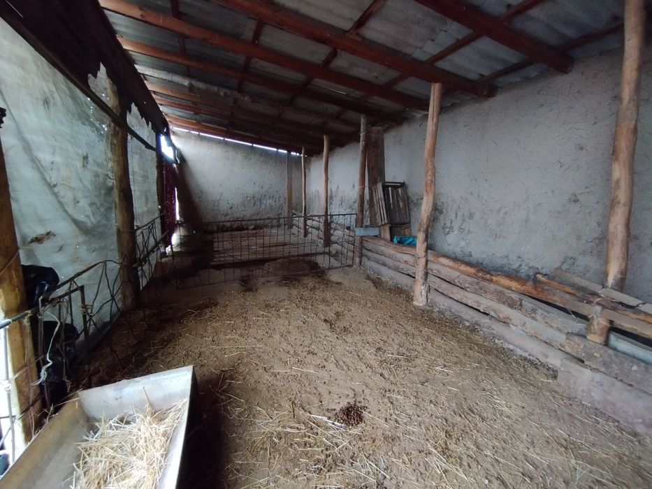 Uy maydoni 28 sotik Parkentta