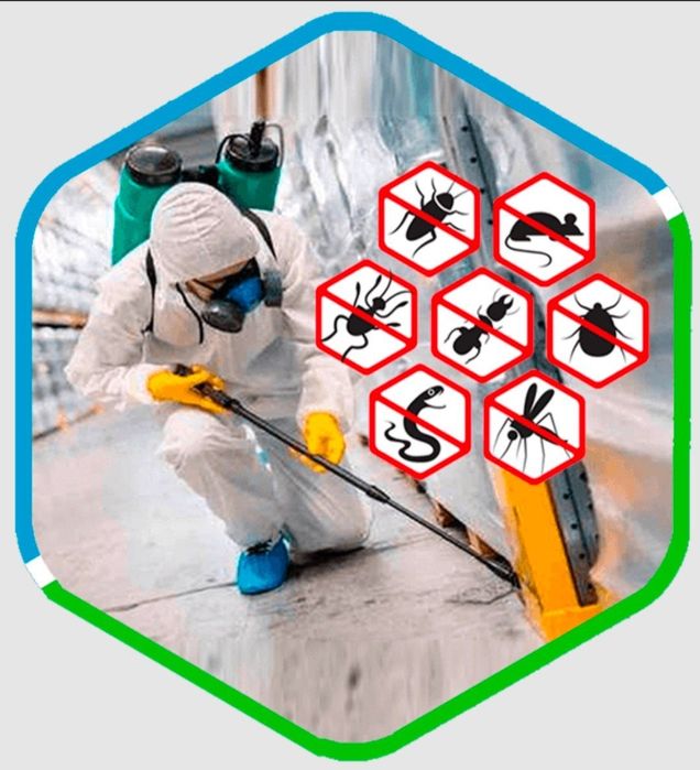 Дизинфекция Дезинфекция дезинсекция комплексные услуги .