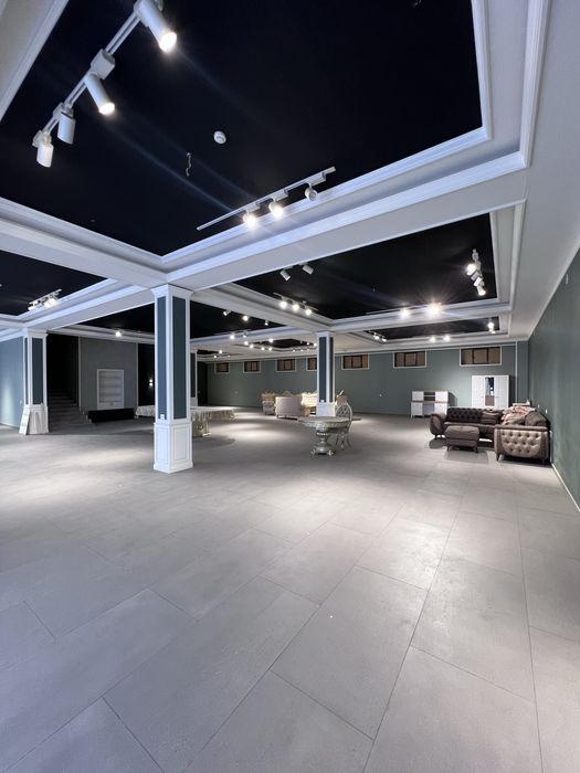 нежилое помещение