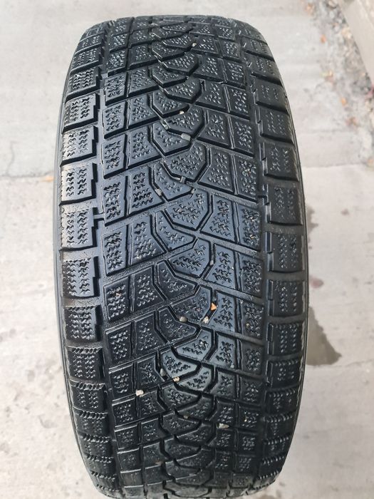 275/65 R17 Triangle Winter