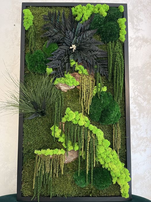 Tablouri cu plante naturale stabilizate,licheni , muschi