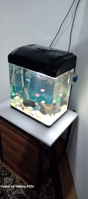 Заводской акварюм 50 тысяч