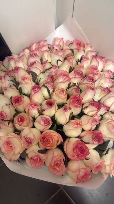 Продам красивые цветы