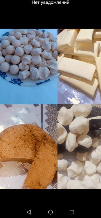 Домашний құрт,ірімшік,күбі май