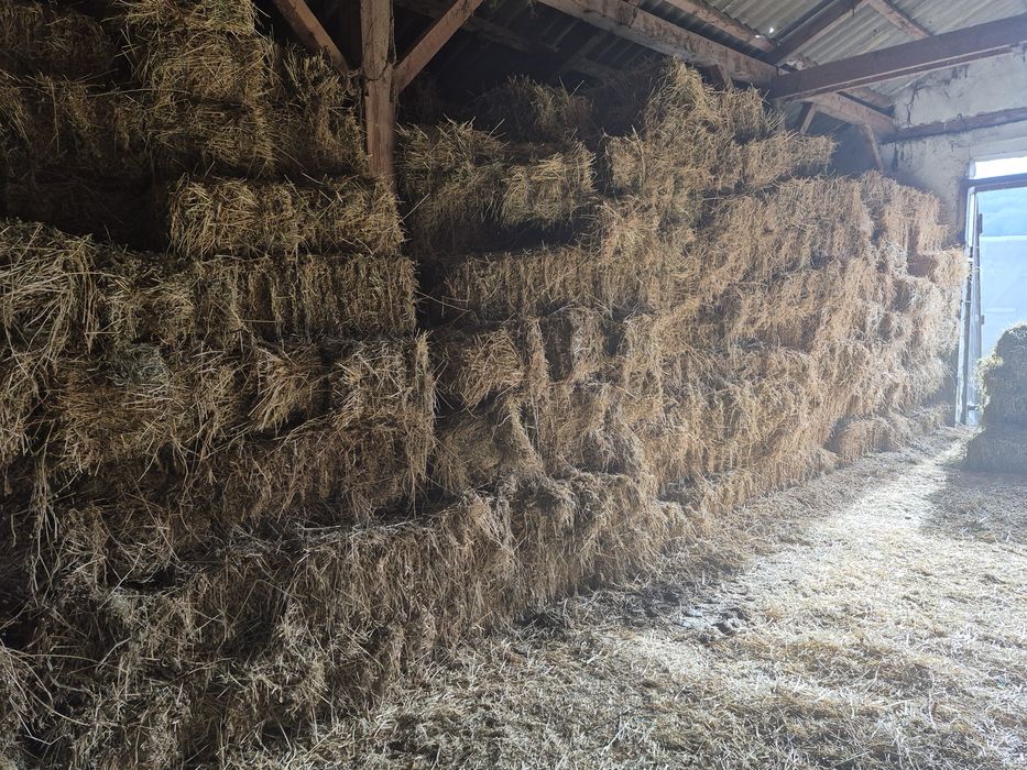 Vând baloti de fân Lucernă Producție 2025 trasport la domiciliu