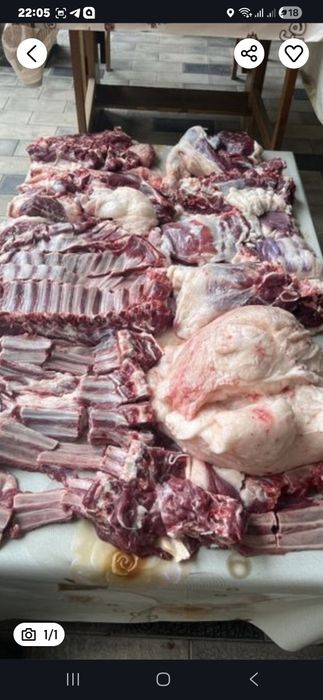 Куй куз кассоп трик сфатли