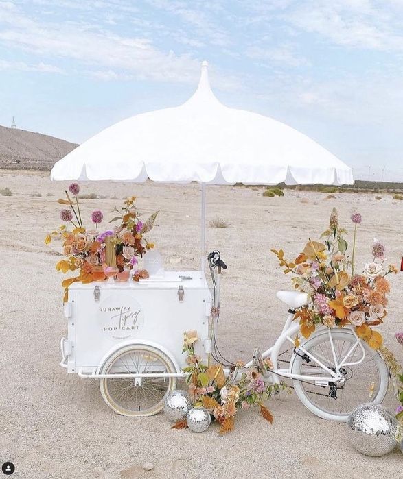 Bicicleta cargo pentru vânzarea cu amănuntul flori sucuri inghetata