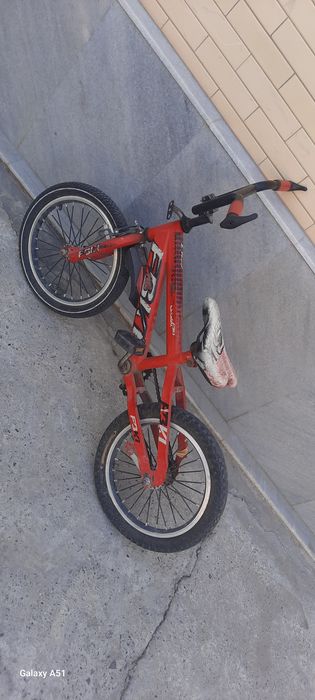 Gonichni velik detski zur yaxshi