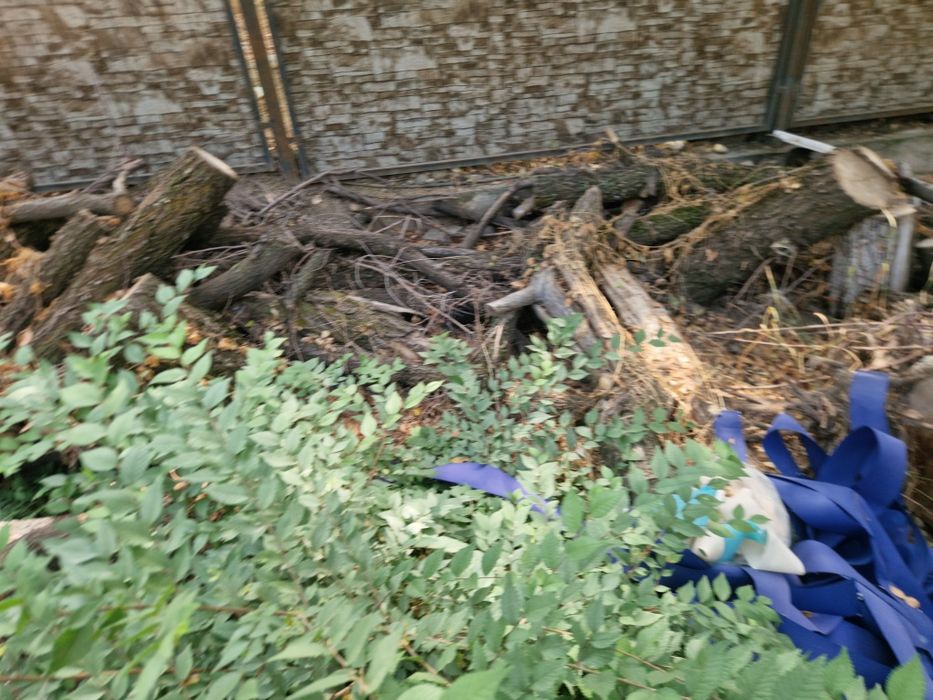 Дрова бесплатно самовывоз