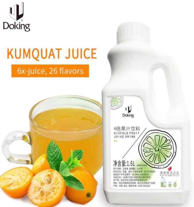 Сироп Doking 1.6л Кислая Слива