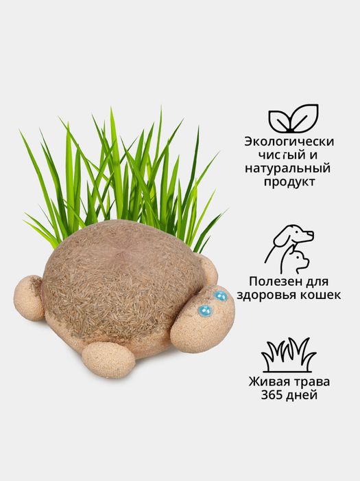 травянчик игрушка прорастающая трава зелень