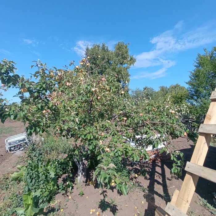 Продам дачу «Уралочка»