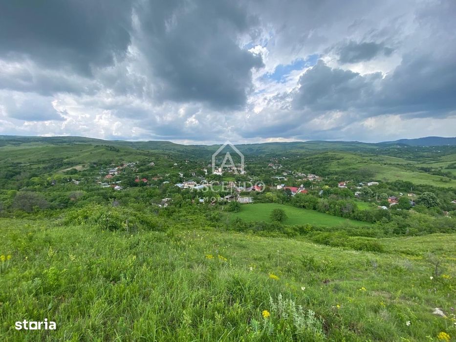 Domeniu 15.900 mp în Fințești | Casă + Investiție Dealu Mare