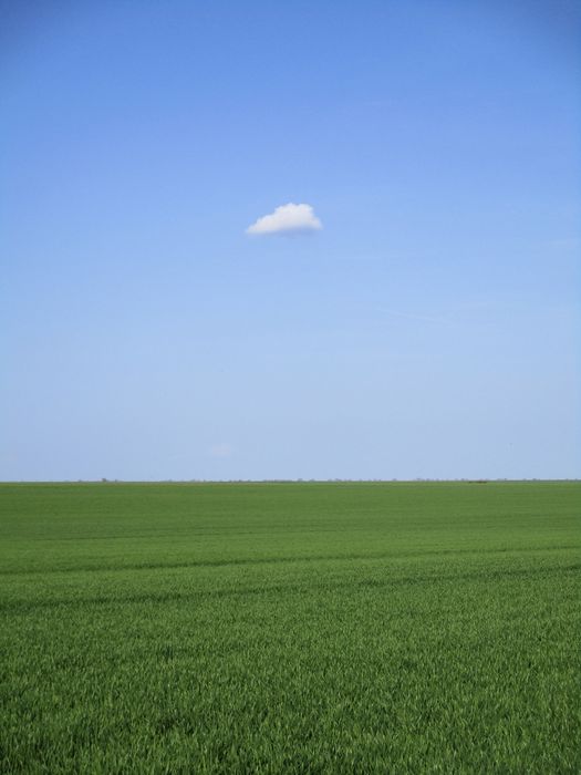 Дигитален фотоапарат Canon IXUS 185