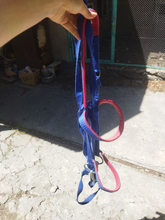 Конная аммуниция