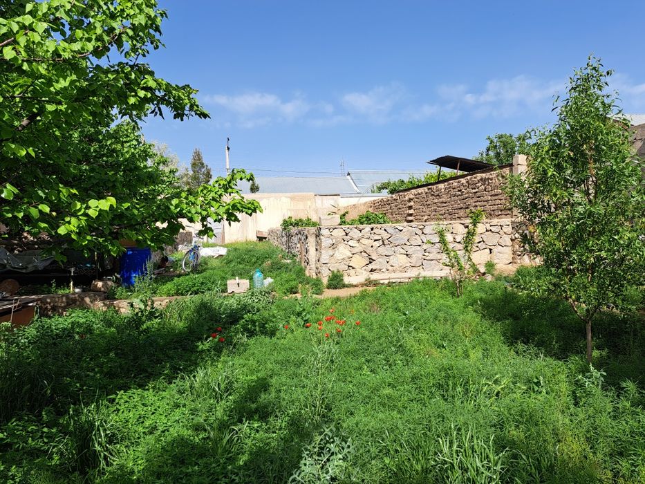 Hovli 5 sotix sotiladi