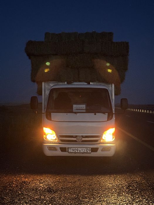 Буылған шөп Сено в тюках