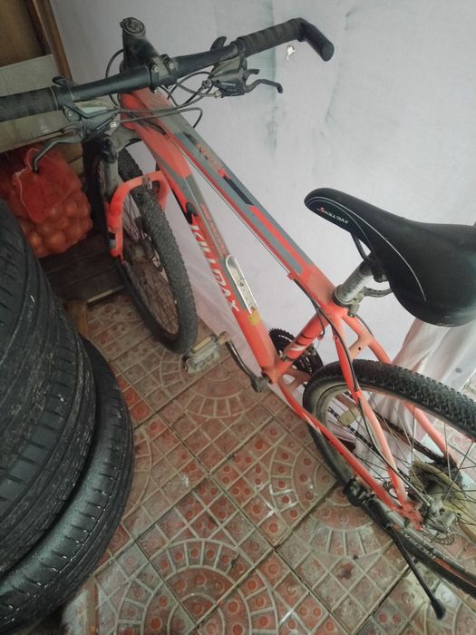 Велик  албуменивий