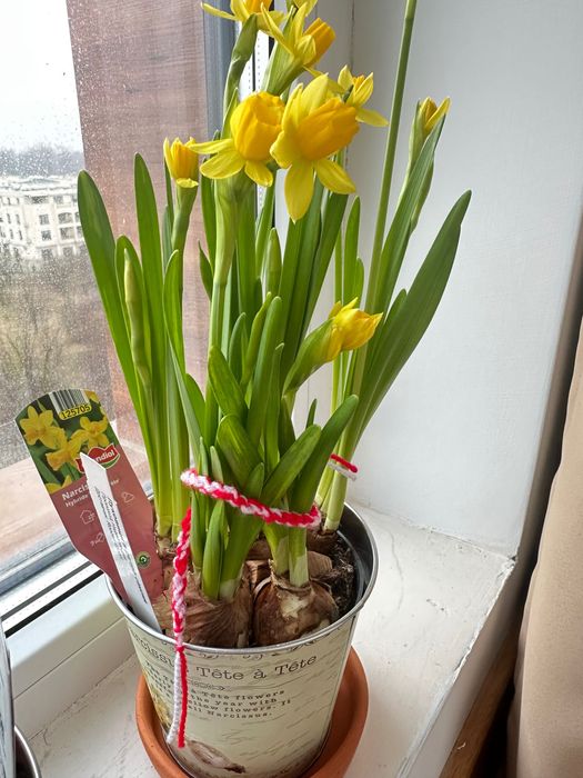 „Ръчно плетени мартеници на една кука – подарък за Баба Марта“