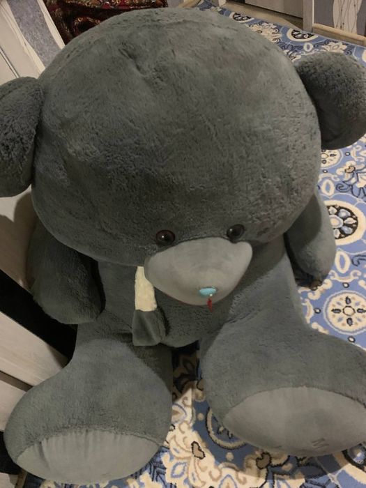 Kampyuter Televizor Katta ayiq