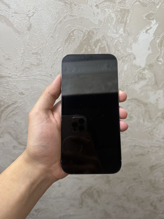 Iphone 13 pro max 256 gb