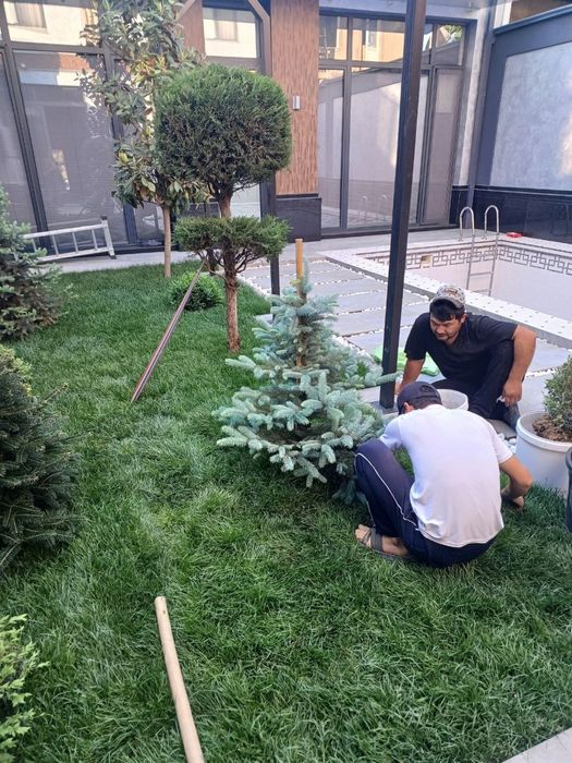 Yevro gazon sifatli va arzon