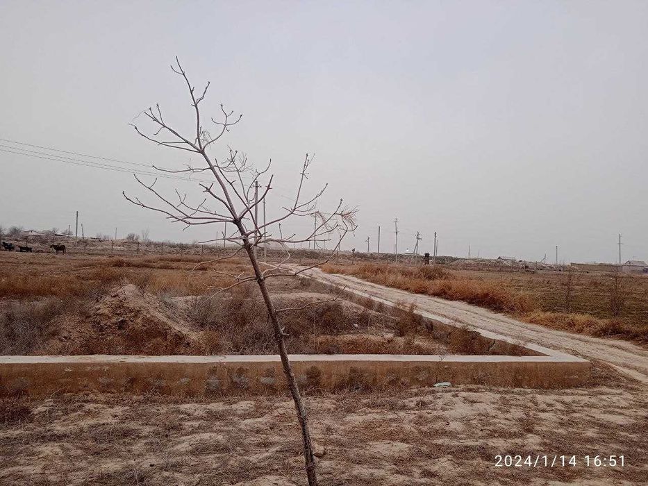 Shayxali 32-sotix yer sotiladi