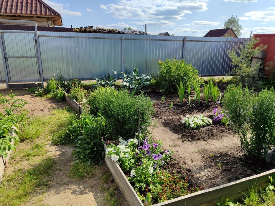 Продам дачу в новопавловке