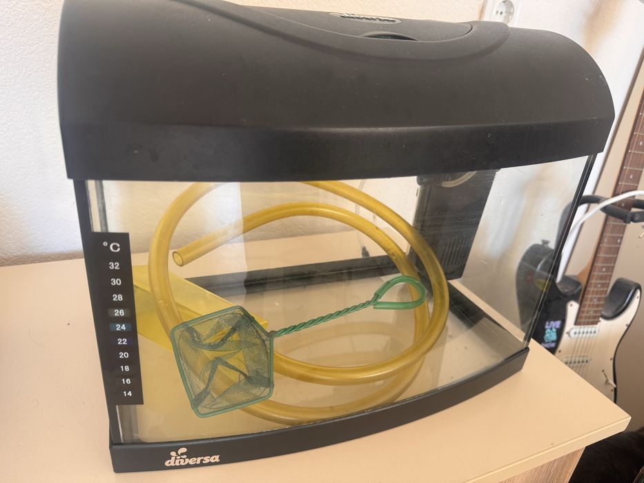 Аквариум за рибки