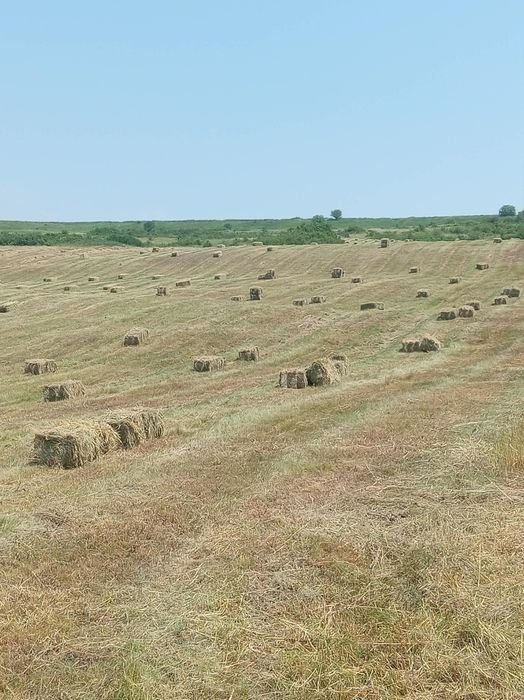 Vând 400 baloți de fân