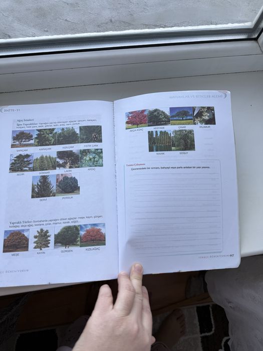 Продам учебник ( Я учу турецкий)