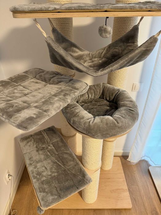 Natural Paradise Amaryllis ansamblu inalt pisici