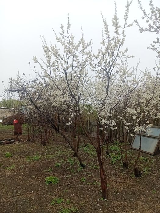 Продаётся дача Кривое озеро