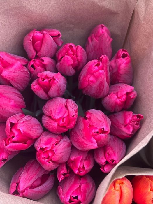 Тюльпаны оптом в Алматы