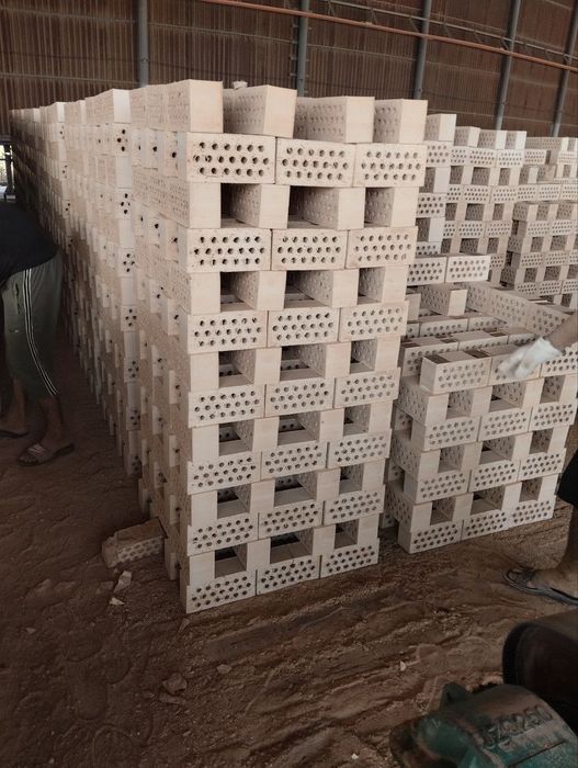 Pishgan gisht teshikli va butun