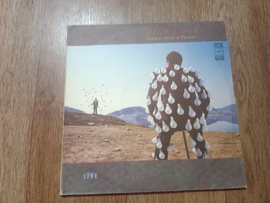 Pink Floyd — Delicate Sound of Thunder (1988)