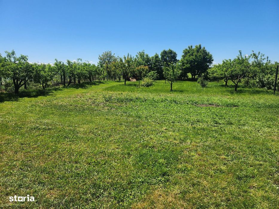 Casa in Dumbrava la E85 plus Spatiu Comercial