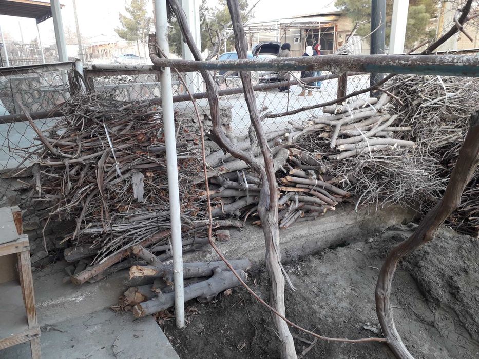 Катта ва майда утин сотилади