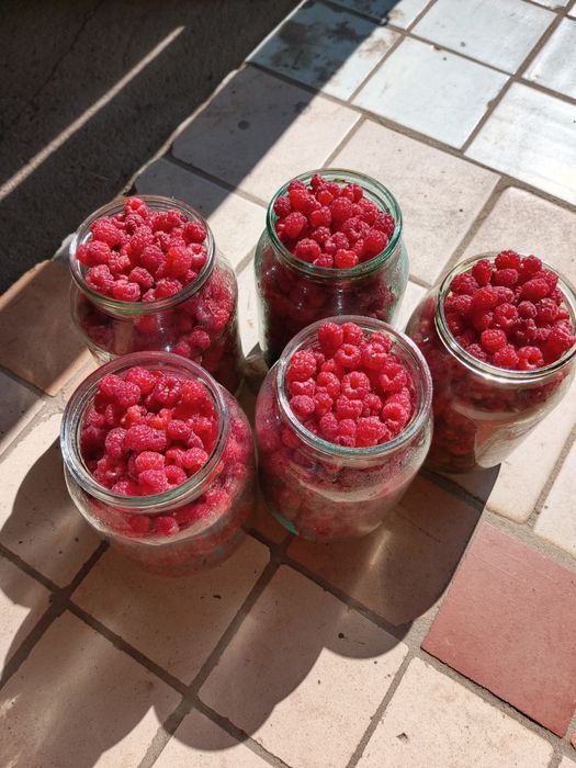 Малина со своей дачи продам
