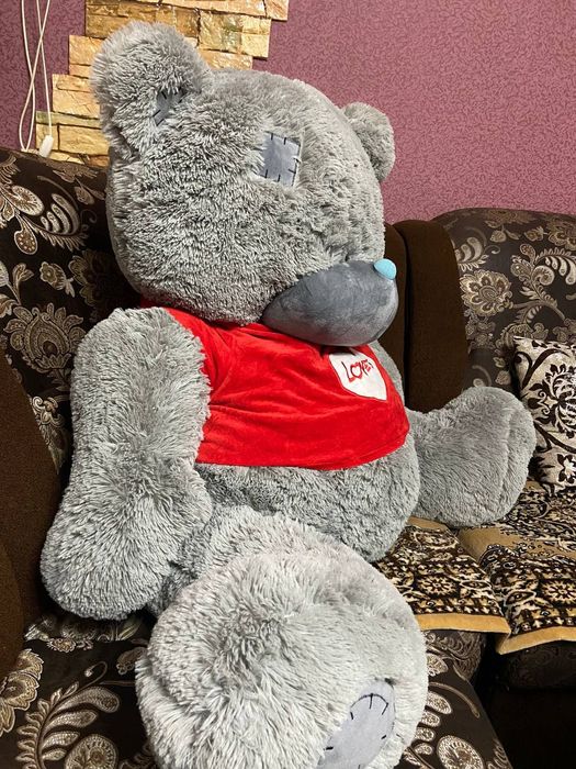 Kattaga teddy ayiq