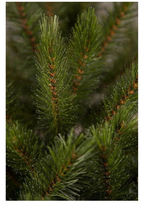 Продам шикарную елку