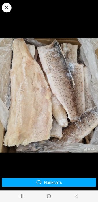 Филе щуки оптом !!!