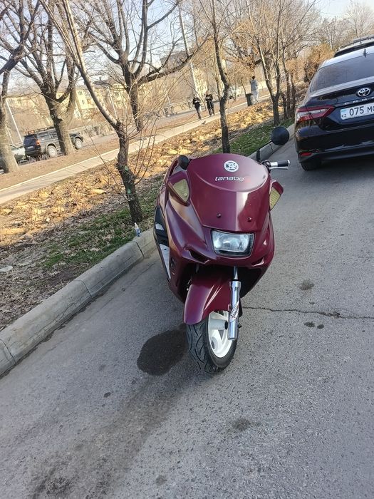 Yamaha Magesty 250