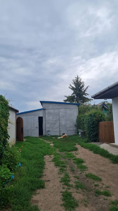 Продам дом в   селе  Урюпинка