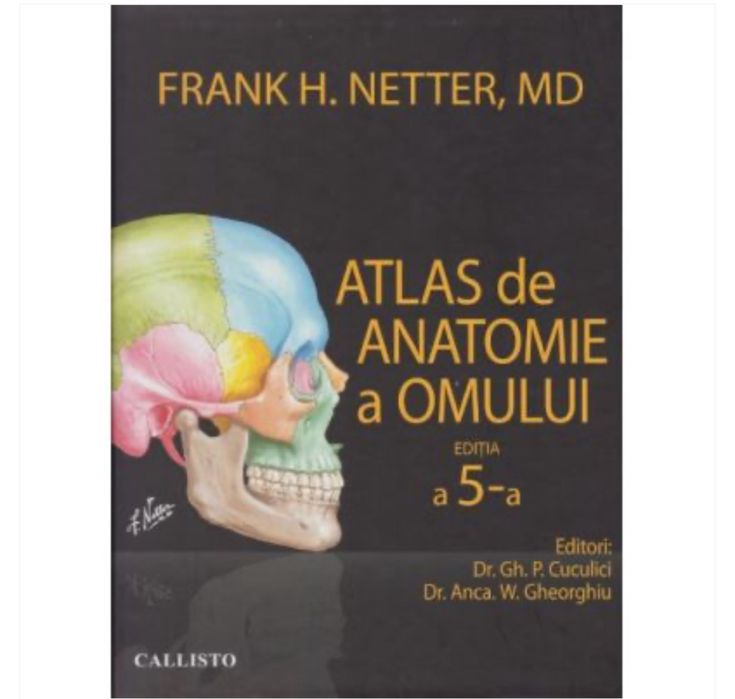 Netter editia 4 color pdf in romana