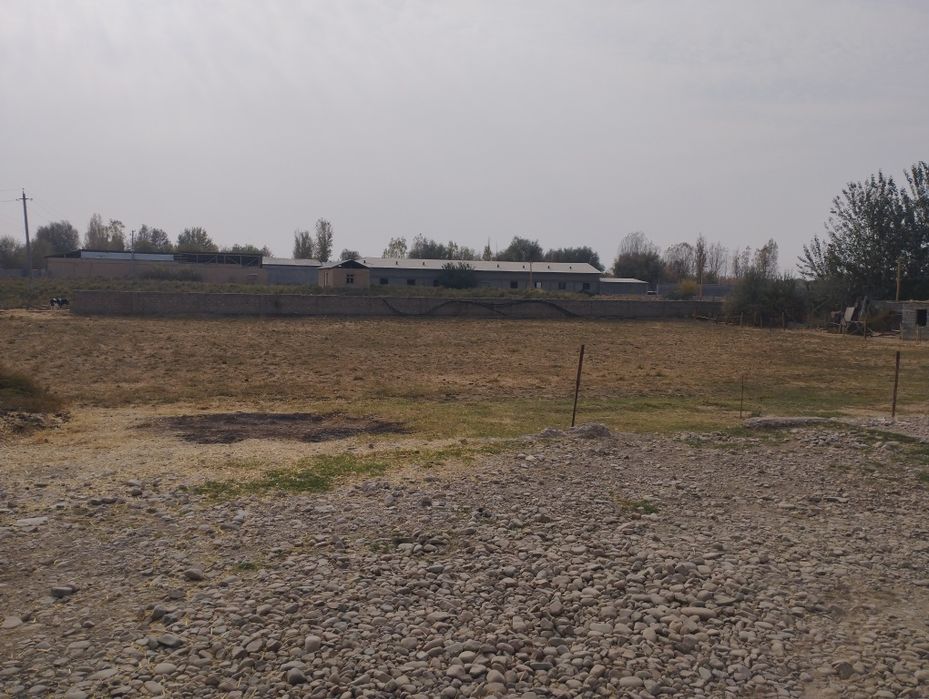 3xonali kafolati bilan