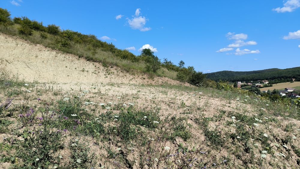 Teren intravilan in Livezeni
